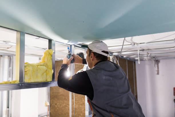 Best Insulation Installation Services in Whitehall, WI
