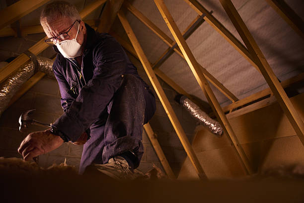 Best Energy Efficiency Solutions in Whitehall, WI