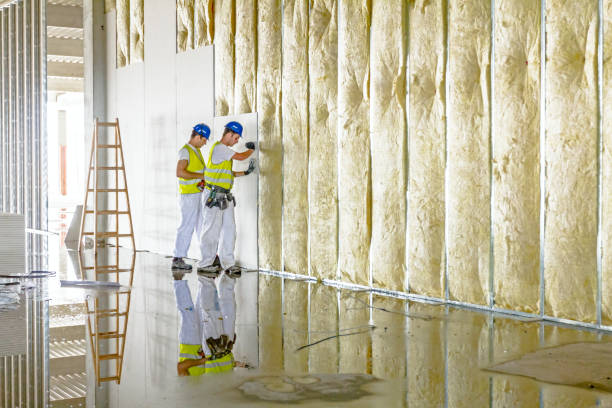 Best Residential Insulation in Whitehall, WI